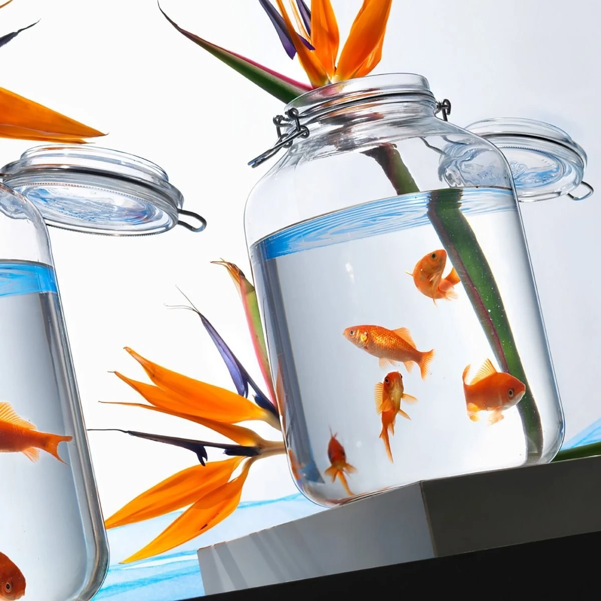 Bormioli Rocco 4.67L Swing Top Fido Glass Jar 3 Bormioli Rocco 4.67L Swing Top Fido Glass Jar - Image 3