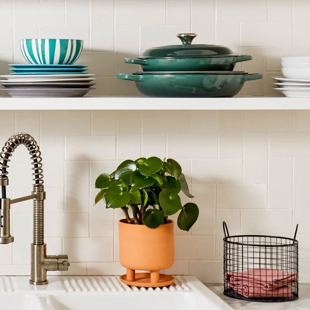 Le Creuset 3.5 Qt. Signature Braiser With Stainless Steel Knob | Artichaut 4 Le Creuset 3.5 Qt. Signature Braiser With Stainless Steel Knob | Artichaut - Image 4