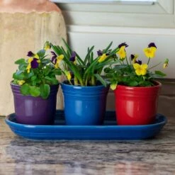 Fiesta® Windowsill Garden Set | Bold 8 Fiesta® Windowsill Garden Set | Bold -Kitchen Tools Shop boldlife
