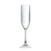 Fortessa OutSide™ 5oz Copolyester Champagne Flute