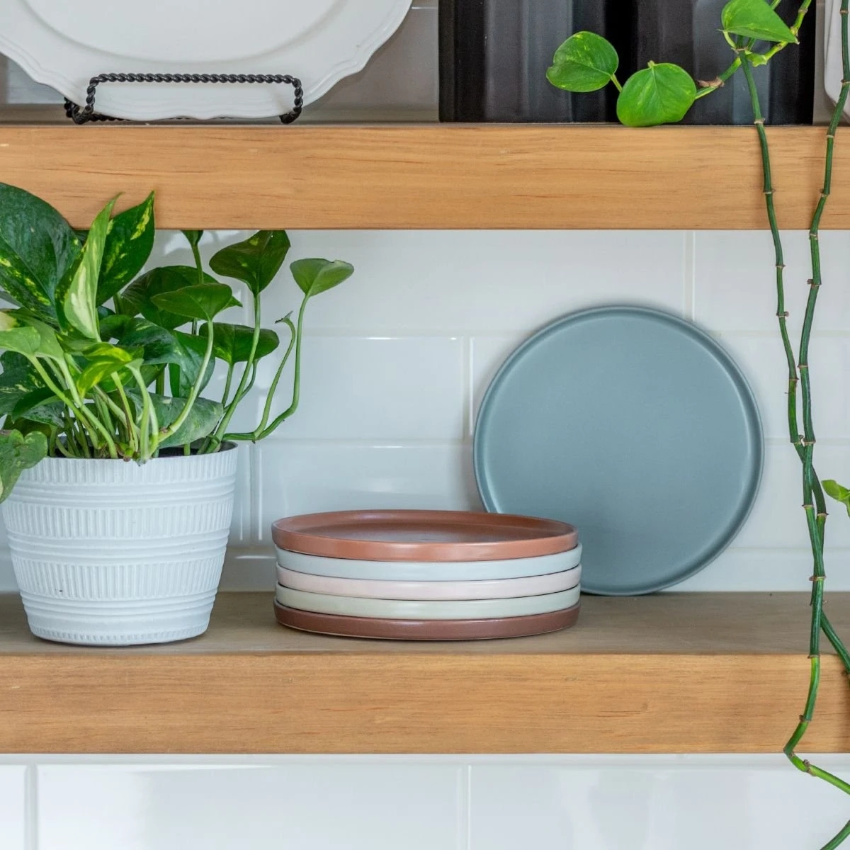 Everything Kitchens Modern Flat 8" Lunch Plates (Set Of 4) | Stone Gray 4 Everything Kitchens Modern Flat 8" Lunch Plates (Set Of 4) | Stone Gray - Image 4