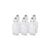 Bormioli Rocco 8.5oz Swing Top Glass Flasks | 6-pack