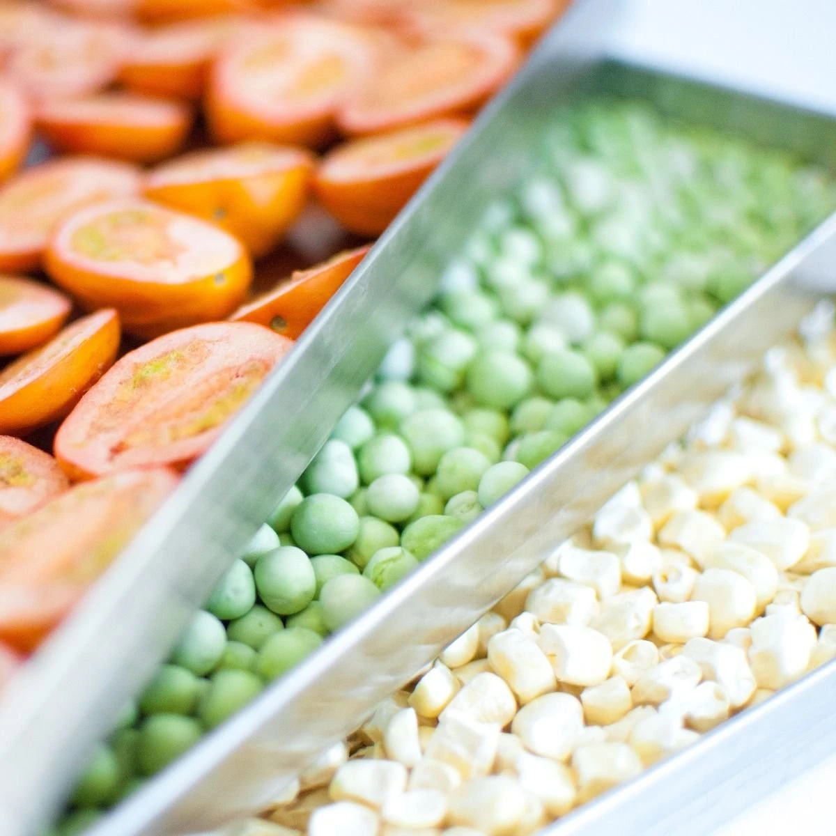 Harvest Right Small Size Home Freeze Dryer | Stainless Steel 2 Harvest Right Small Size Home Freeze Dryer | Stainless Steel - Image 2