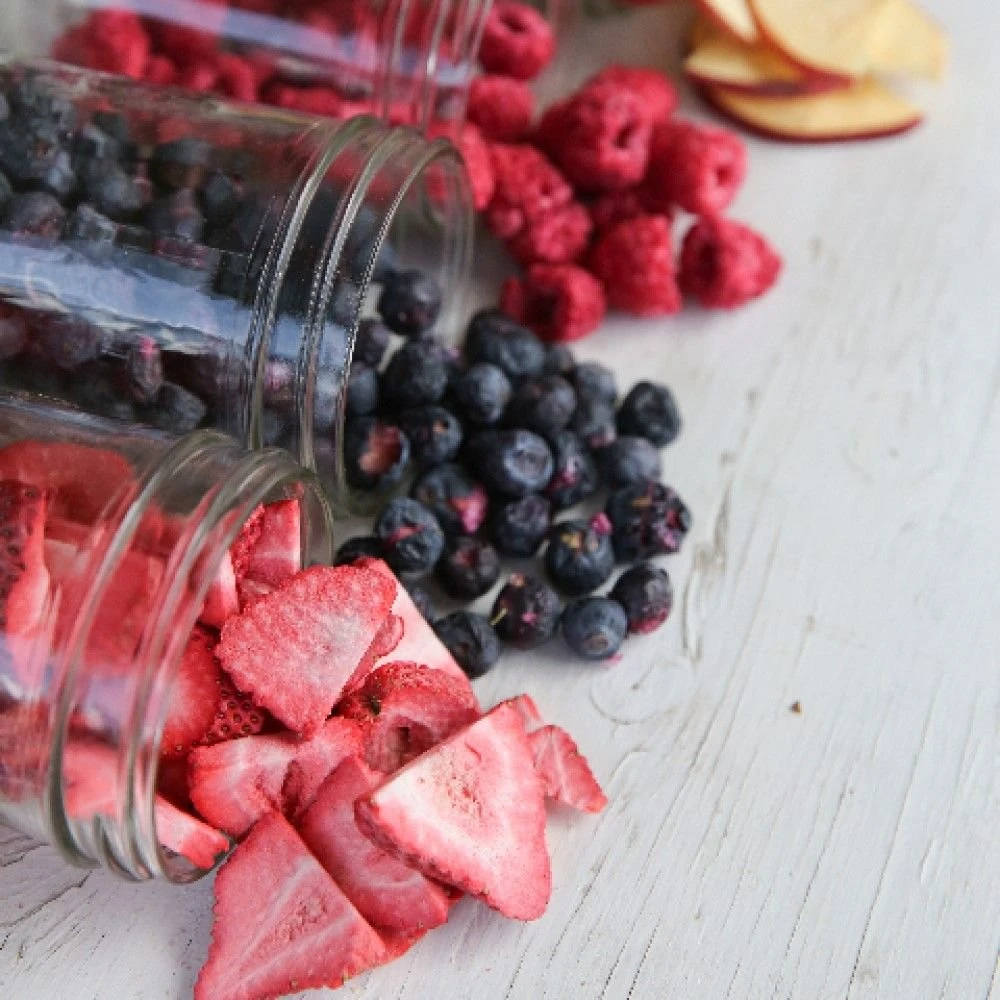 Harvest Right Small Size Home Freeze Dryer | Stainless Steel 3 Harvest Right Small Size Home Freeze Dryer | Stainless Steel - Image 3