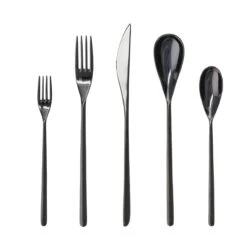 Fortessa Dragonfly 20pc Place Setting | Black